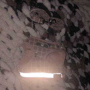 Reflective Dog Harness & Leash